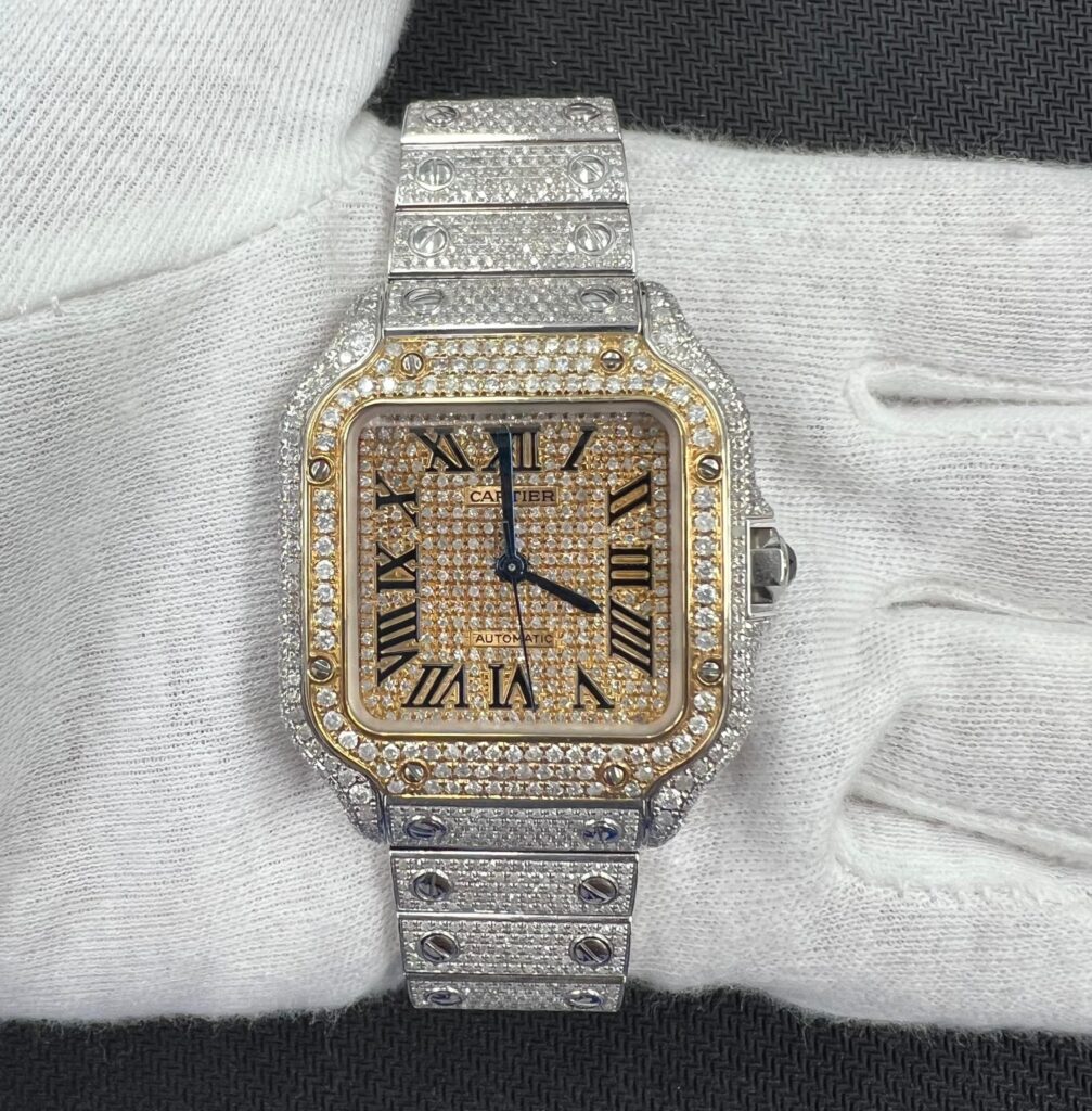 CARTIER SANTOS WSSA0029